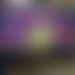 Fin do 2º trimestre