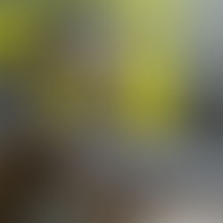 Santa Luisa de Marillac