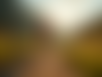 Master Your Marathon: Tips from an Olympian Coach