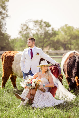 Country barn wedding venue. Couple poses in cattle pasture with cattle surrounding