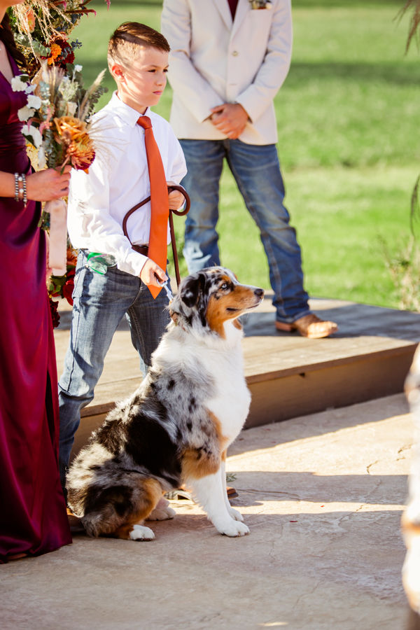 Rustic Columbus wedding venues Boy in white shirt with orange tie holds a dog on a leash at an outdoor ceremony. Dog is sitting attentively. Sunlit green lawn.