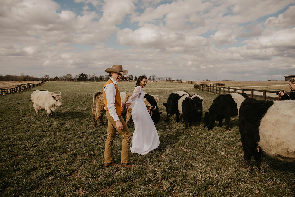 Columbus wedding venue Bride and groom in a field with cows, groom in cowboy hat and vest, bride in white dress, smiling. Photographer on the right, cloudy sky.