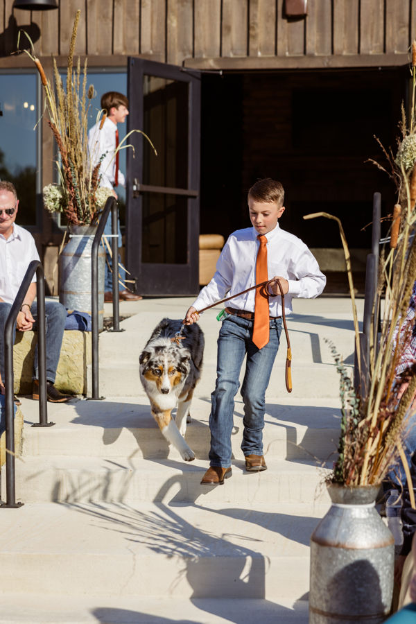 Rustic Columbus wedding venues Boy in white shirt and orange tie walks a dog down sunlit steps, surrounded by seated people and decorative plants near a wooden building.