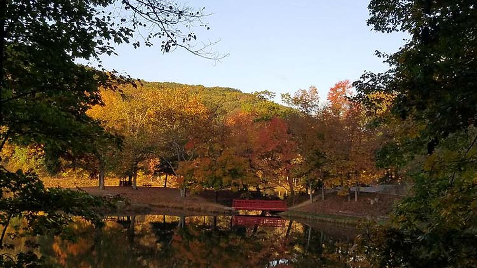 Ohio Wedding Venue. Autumn trees with orange and red leaves reflect on a tranquil lake. A red bridge spans the water, surrounded by a peaceful forest scene.