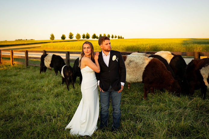 Bride and groom with cows at Columbus wedding venue