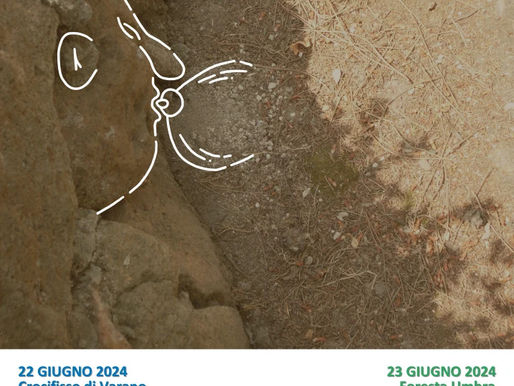 Apulia Natural Sounds: concerti degli alberi dal 22 al 25 giugno 2024
