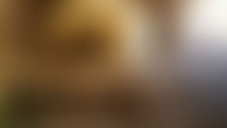 Tremiti, isola di San Nicola: devastata l’antichissima cisterna della Meridiana