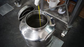 Tempesta perfetta sull’olivicoltura