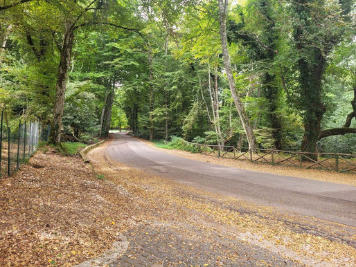 VIGILI DEL FUOCO A MANDRIONE