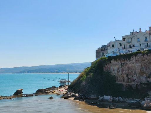 Vieste (FG), aggredirono i Carabinieri: emesso un “Daspo Willy” per due giovani