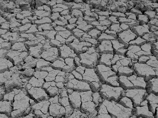 La “grande fame”