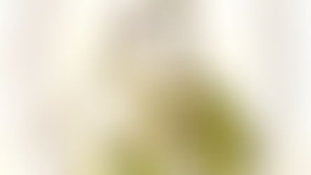 Appunti di araldica vicana