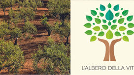 Un albero è per sempre, davvero.