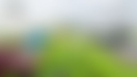 Le innovazioni tecnologiche offerte dall'agricoltura