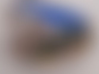 SASS-ART: un laboratorio di sassi realizzato dai bambini e dalle insegnanti!