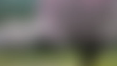 Ancora furti nelle campagne