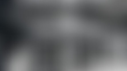 IL PRESENTE SI FA STORIA