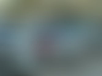 RALLY, TORNA IL "PORTA DEL GARGANO"