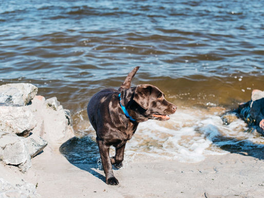 Centro di Sopravvivenza in Mare