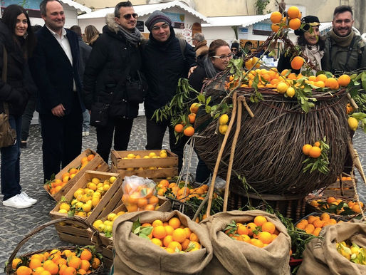 Arance di Puglia, la ricerca le premia ma il mercato penalizza i produttori