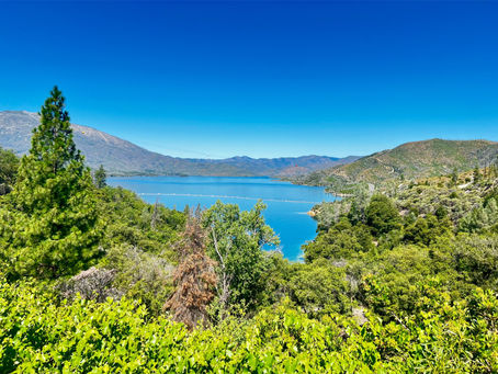 Whiskeytown Lake National Recreation Area: Nature, Paddleboards, and the Great Life Vest Crisis