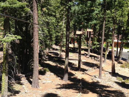 Like Adventure, the Outdoors, and Heights? Meet Your New Favorite Playground.