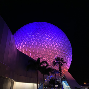 Disneyland vs Disney World