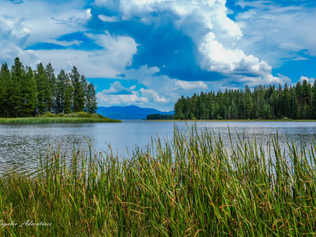 🌊 Double the Lakes, Double the Fun – Crater & Walker Lake Adventures