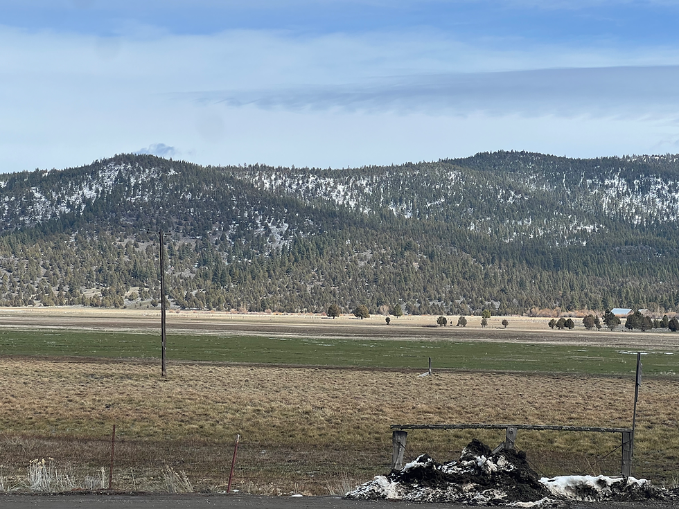 The Valley in front of the Hot Springs, CA