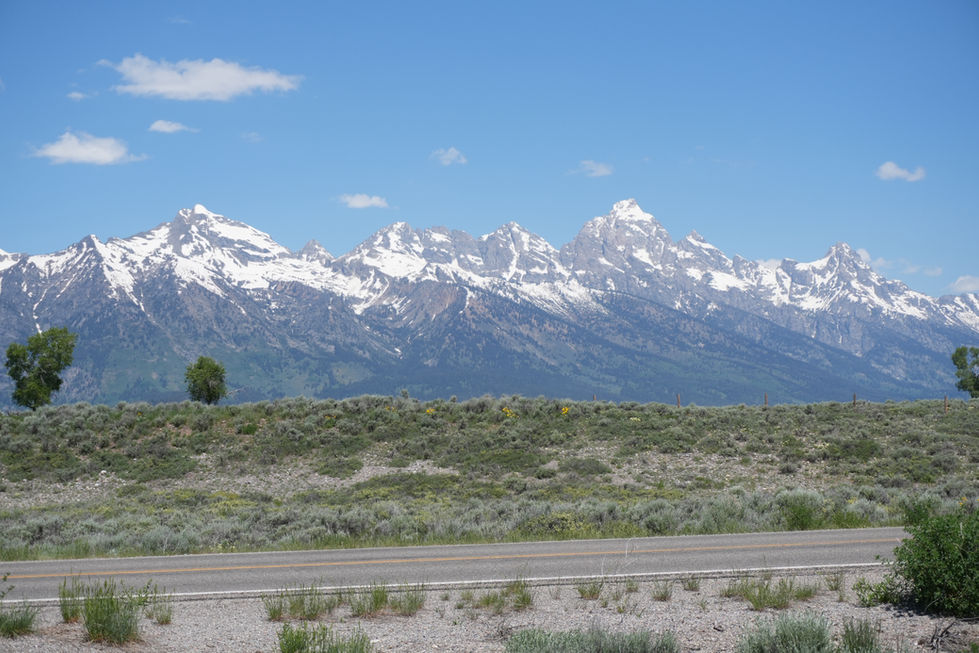 When we first got there, this was our first picture of the majestic beauties.