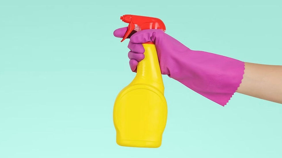The Big Clean