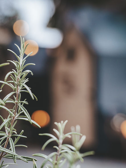 Erlebnisgastronomie | Gaumenschmaus im Vogelhaus | Pfeffikon LU