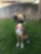 IMG_4082.jpeg