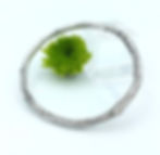 Thumbnail: Twig Bangle