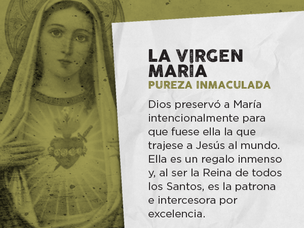 Virtud Pureza