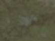 mapbg.jpg