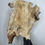 Thumbnail: XL Hairy Beef Bark