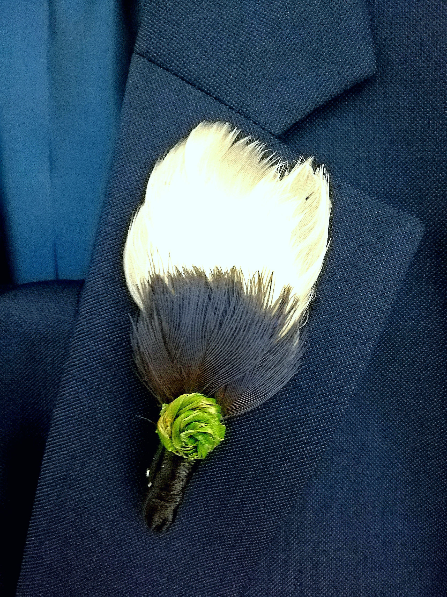 Land Of The Long White Cloud