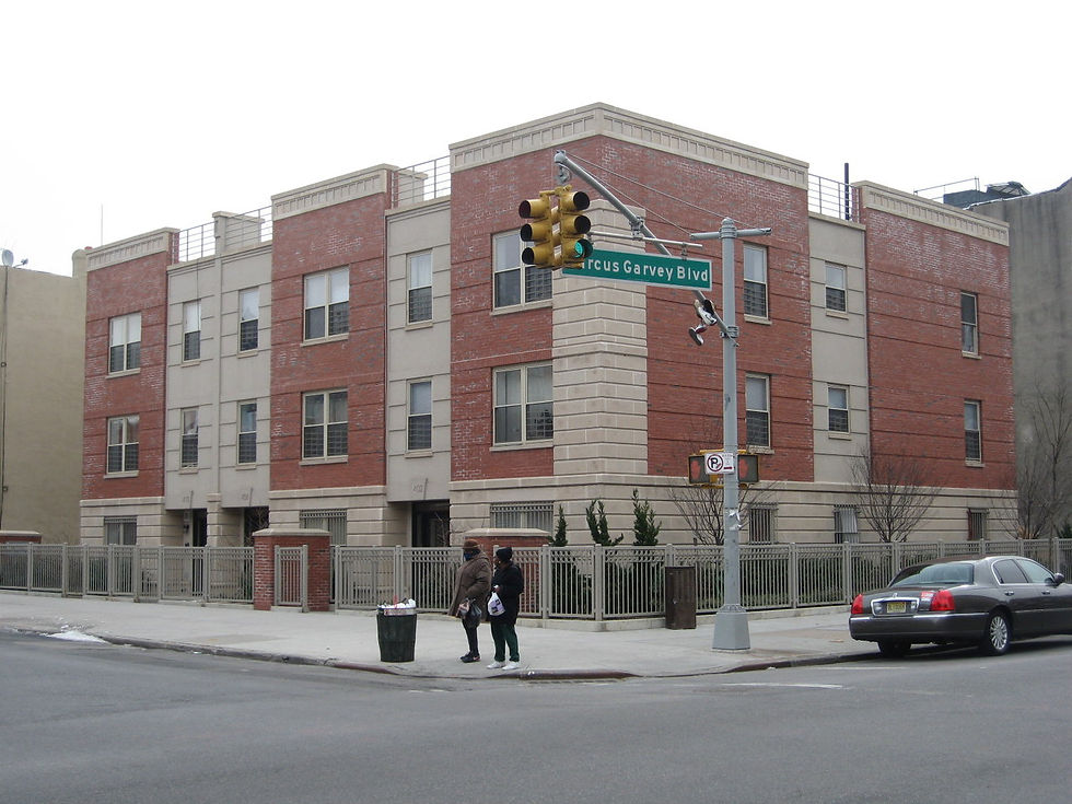 Halsey Street Brooklyn, NY