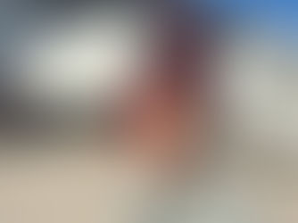 A season of growth: 2024 in review