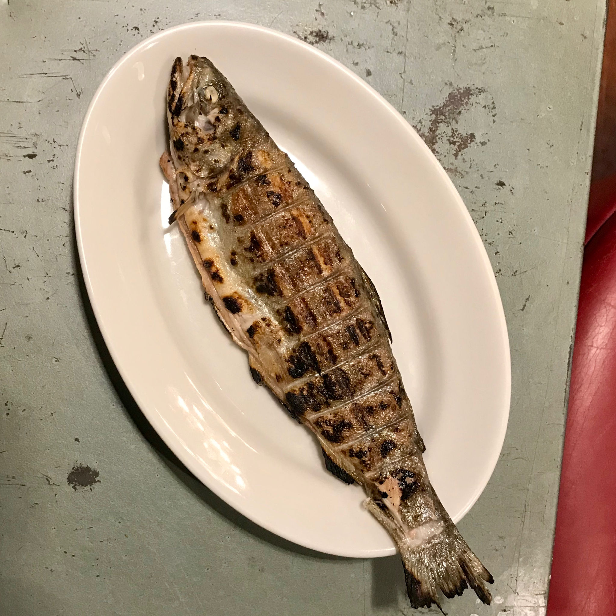 + Ganze Bio Forelle aus Bachs