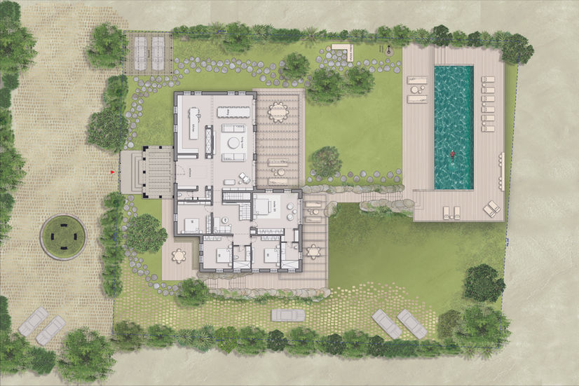 ZIV_210623-noTree copy