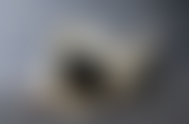 To Rollover, or Not to Rollover?