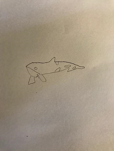whale2.png