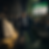 CFO Split.png