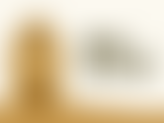 Bendición del XLIX Nacimiento y Fiesta Navideña en la víspera de la Inmaculada