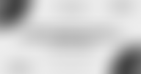 private investigator germany