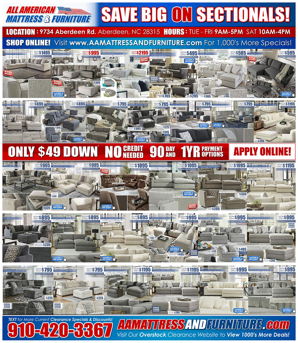 AAMAF_Sectionals Part 1_Flyer_April 2024.jpg