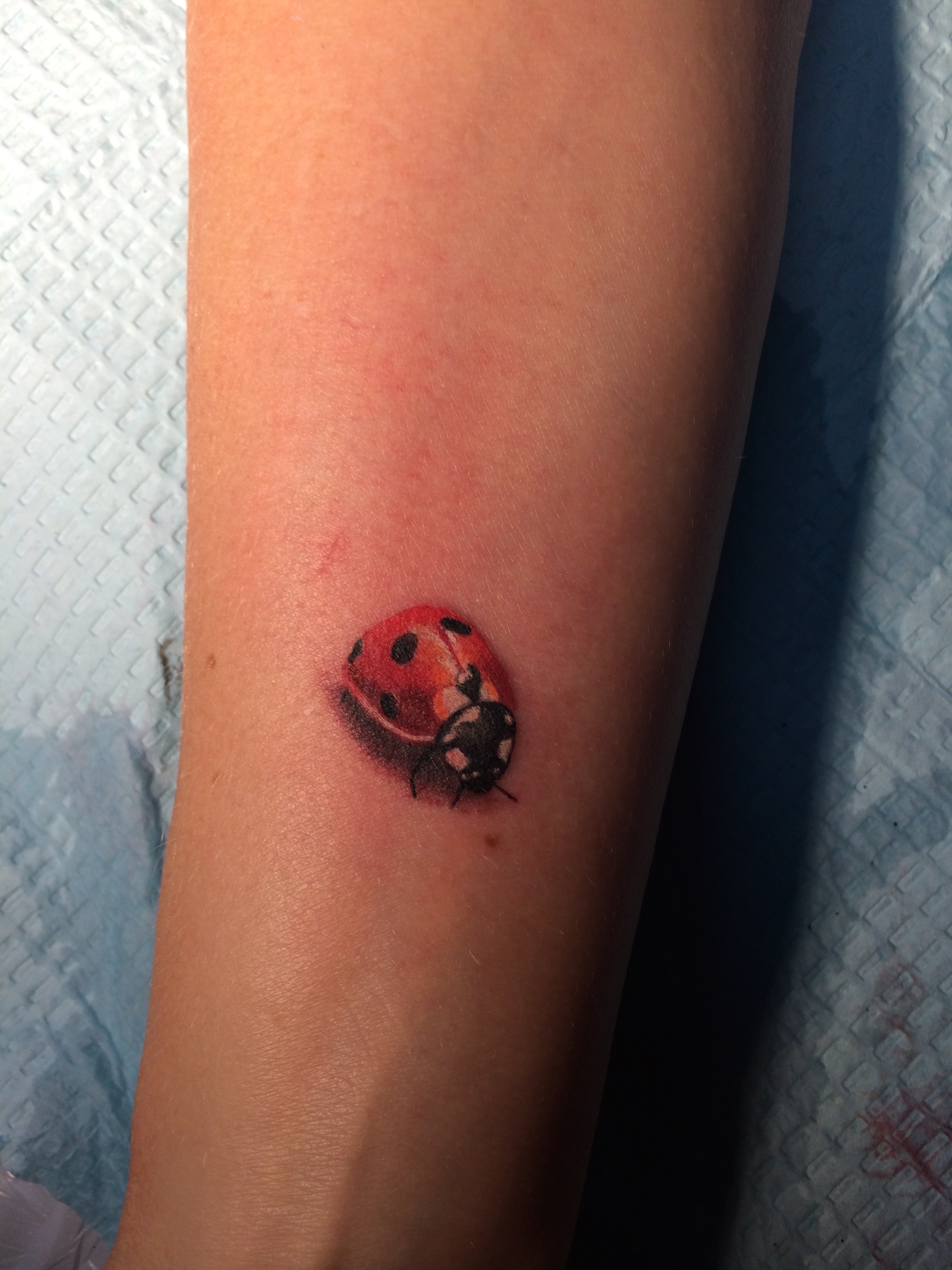 coccinel-tattoo-maxime lanouette