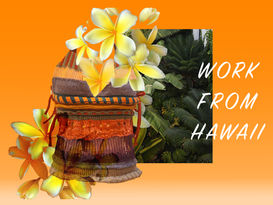 WORK FROM HAWAII